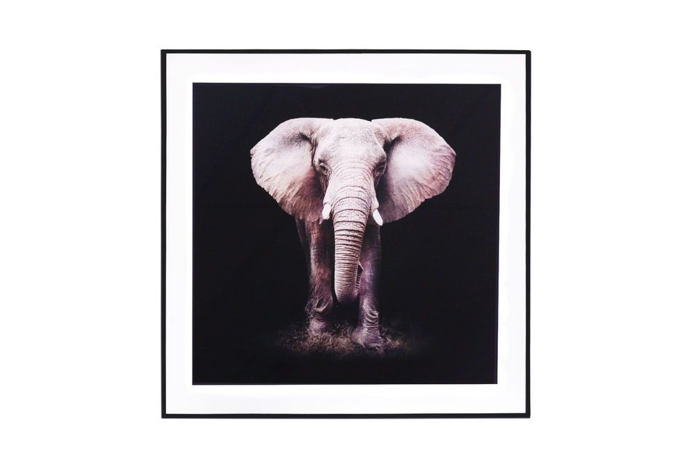 Glass Print Wall Art (Elephant)